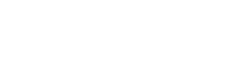 Nexvision