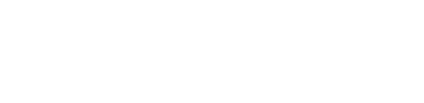 Nexvision